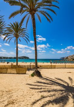 Mallorca, coastline bay of sand beach in Santa Ponsa, Spain Balearic Islands