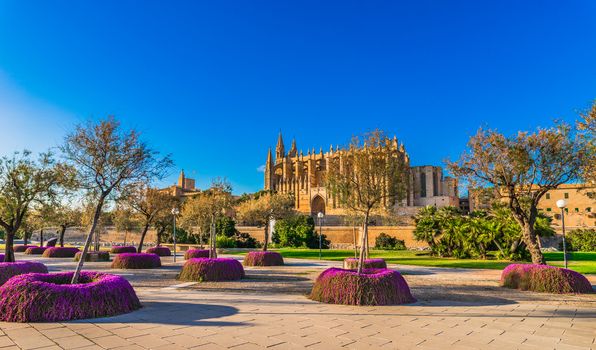 Beautiful view of the Cathedral of Palma de Majorca, Spain Balearic Islands