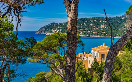 Beautiful sea view at the coast of Canyamel on Majorca island, Spain Mediterranean Sea