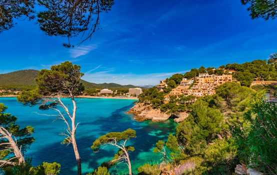 Picturesque coast view of Canyamel bay, seaside on Mallorca island, Spain
