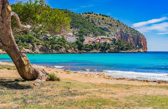 Beautiful beach of Canyamel at the beautiful seaside on Majorca island, Spain Mediterranean Sea