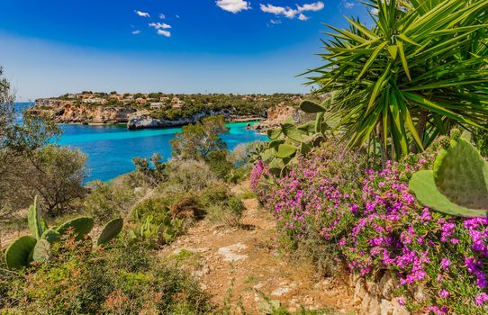 Beautiful coast of Mallorca, Spain Mediterranean Sea, Balearic Islands
