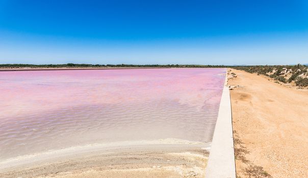 Purple colored salt basin at saline salt production