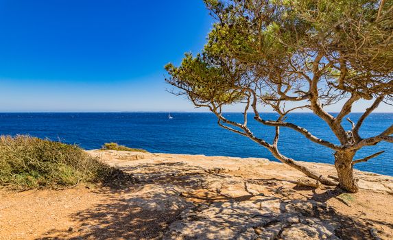 Spain Mediterranean Sea, beautiful sea view at the coast on Mallorca island
