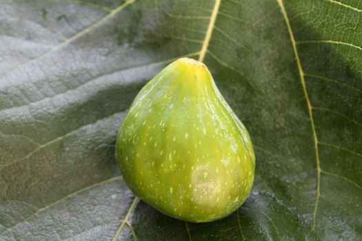 Fig on fig leaf background