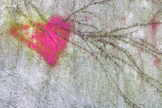 Pink heart on the wall, partially covered by climbing plants.