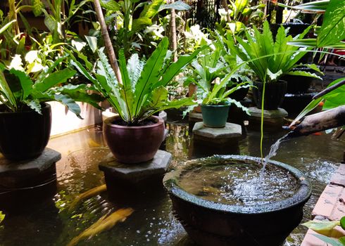 Cambodia, Phnom Phen - Mar 2016: Traditional water garden in a Cambodia