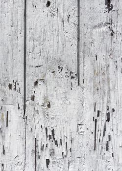 Wooden wall with white paint is severely weathered and peeling