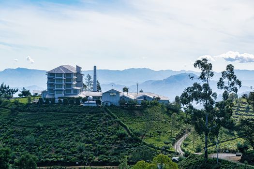 Nyura Ellia, Sri Lanka, Aug 2015: Tea Factory sitting on top of a hill