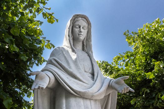 Statue of the Blessed Virgin Mary among trees