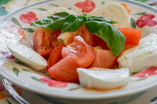 Caprese salad with mozzarella, tomato, basil, mediterranean oil and spices. Defocused blurry background.