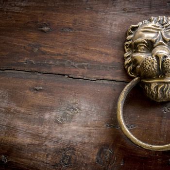 Door knocker with lion on wooden door.