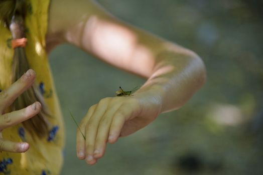 Brasov, Romania - Aug 2019: Young girl plays with a grasshopper