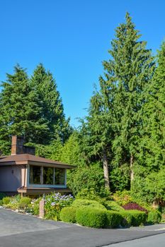 Densely landscaped front yard of residential house with asphalt driveway in front