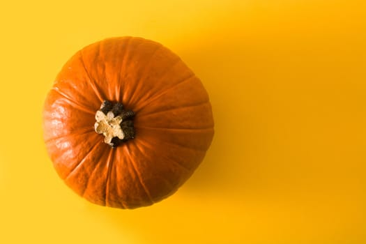 Pumpkin on yellow background