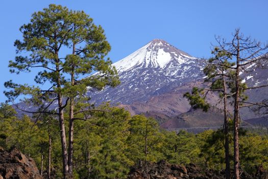 Tenerife - Teide volcano landscape. Beautiful nature scenery from Teide national park, Canary Islands, Spain.