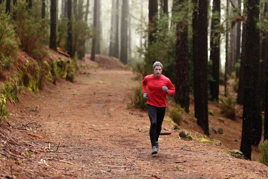 Man running in forest woods training and exercising for trail run marathon endurance race. Fitness healthy lifestyle concept with male athlete trail runner.