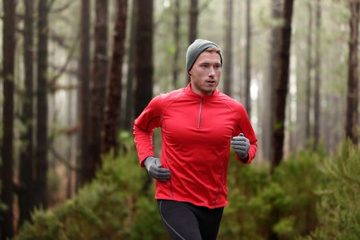 Running man in forest woods training and exercising for trail run marathon endurance race. Fitness healthy lifestyle concept with male athlete trail runner.