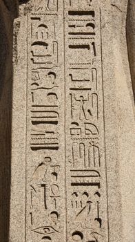 Ancient egyptian hieroglyphic carvings on a temple wall