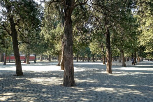 BEIJING, CHINA: Tree plantations and cobbled Heaven Park complex.