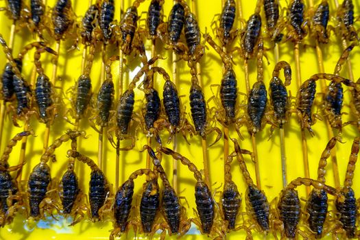 The scorpions as food are on the street in Beijing, China