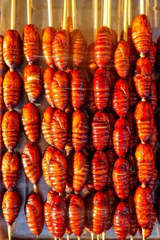 Grill and fried silkworm pupae on stick from Wangfujing street at Beijing, China
