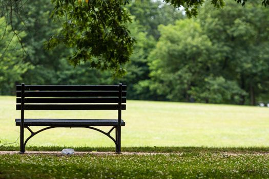 Bench in the park, at the foot of the pedestrian path. Rear view.