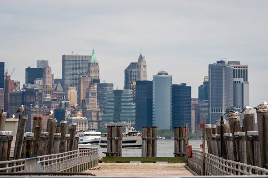 Seagulls at the Old Ferry Dock on Liberty Island near New York City, USA - Image