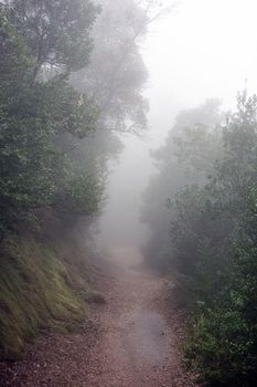 Morning fog in the mountains near Santa Maria de Montserrat monastery. Spain.