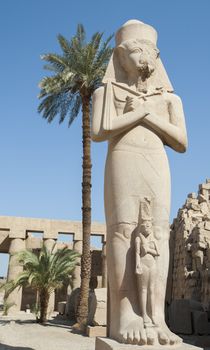 Large famous statue of Ramses in the ancient temple at Karnak Luxor