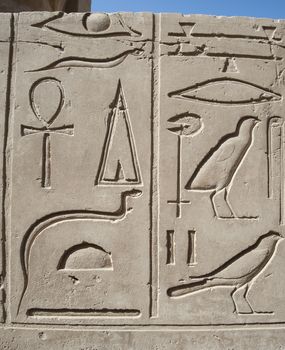 Ancient Egyptian hieroglyphic carvings on a temple wall at Karnak in Luxor