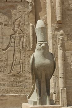 Large statue of the falcon god with hieroglyphics on wall at Edfu Temple