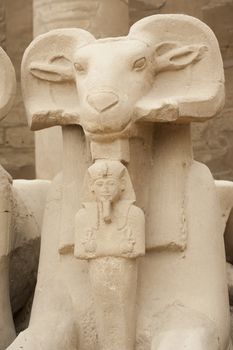 Ram headed sphinx at Karnak Temple in Luxor