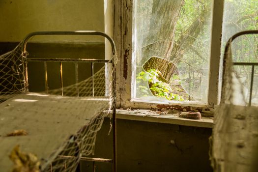 Chernobyl zone. School premises in the city of Pripyat in Ukraine. Exclusion Zone.