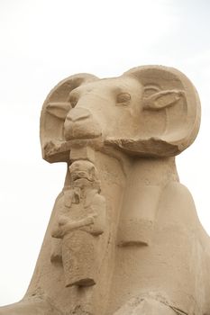 Ram headed sphinx at Karnak Temple in Luxor isolated on white
