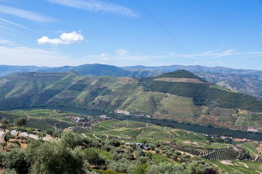 Douro Valley. Vineyards landscape of the Porto wine, near Pinhao village, Portugal. View from Casal de Loivos