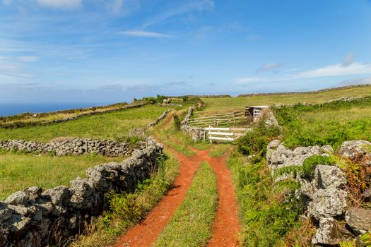 Landscape of green pasture and meadows at Sao Jorge island, Azores. Portugal