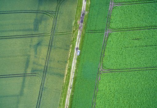 Aerial view of a path between two arable land with a car in the middle, taken at an abstract angle from a height of 100 metres, made with drone