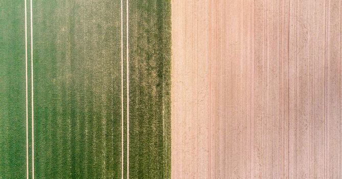 Vertical aerial view of a field with green sprouting young vegetation and a yellow ungreen field surface, abstract impression, texture and background