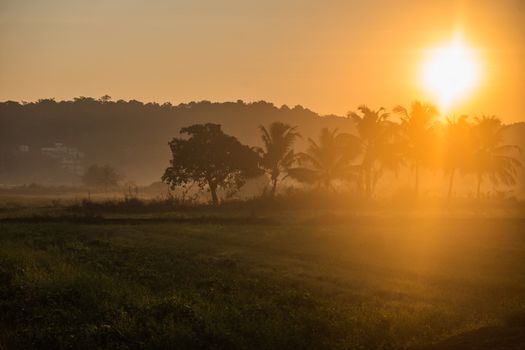 Sunrise, road in Indian fields, Goa, India