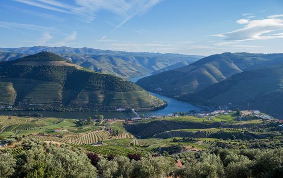 Douro Valley. Vineyards landscape of the Porto wine, near Pinhao village, Portugal. View from Casal de Loivos