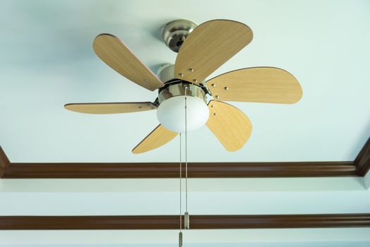 Electric ceiling fan with lamp