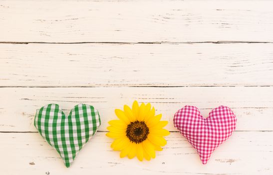 Rustic hearts with yellow blossom on white background with copy space