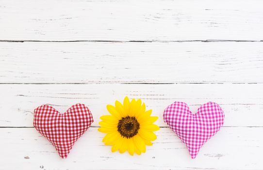 Red and pink heart with beautiful blossom on white wood background with copy space