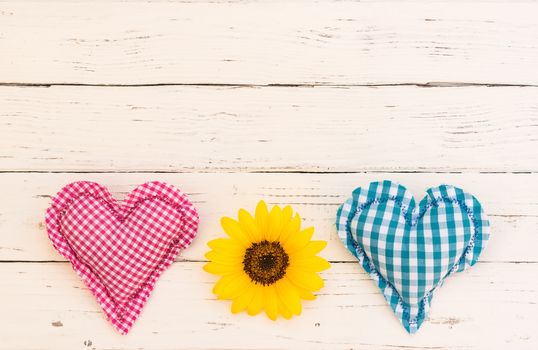 Romantic Valentine day background with pink and blue heart and yellow flower on white wood