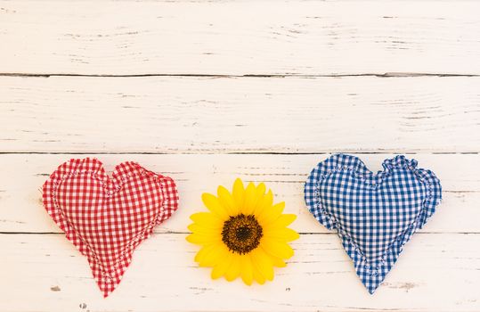 Romantic red and blue heart with blossom on white wood background with copy space