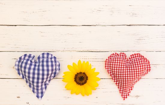 Red and blue heart with beautiful flower on white wood background with copy space