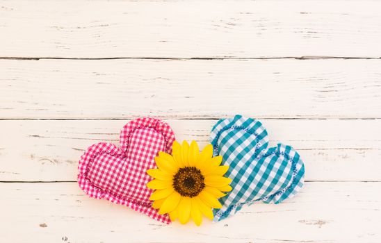 Two hearts with blossom on white wood background with copy space 