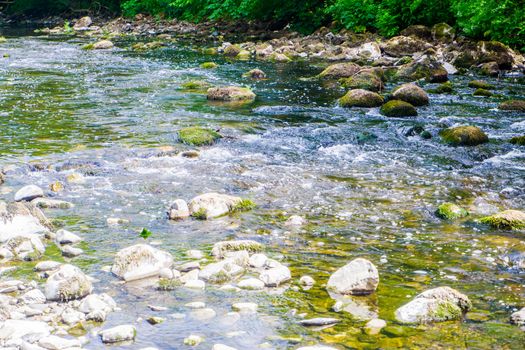 River Kent running over the rocks and pebbles with tree lined banks in summer