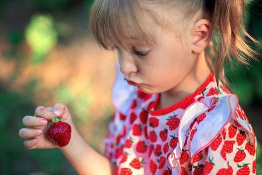 A little girl looks in surprise at a strawberry in her hands. The child makes faces.